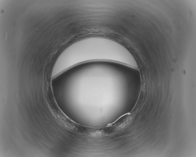 X0000085840456200703161100
