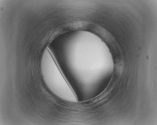 X0000085840458200703161100