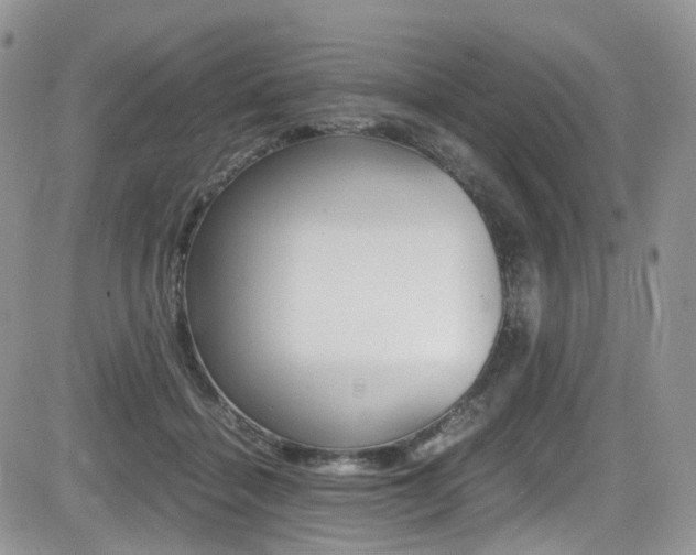 X0000085840460200703161100
