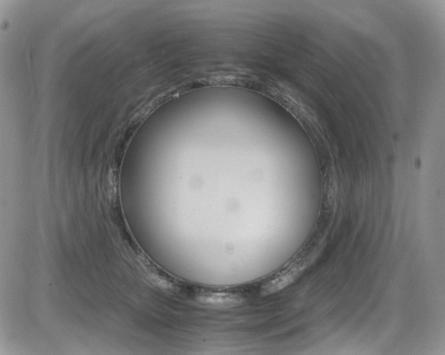 X0000085840467200703161100