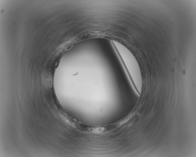 X0000085840474200703161100