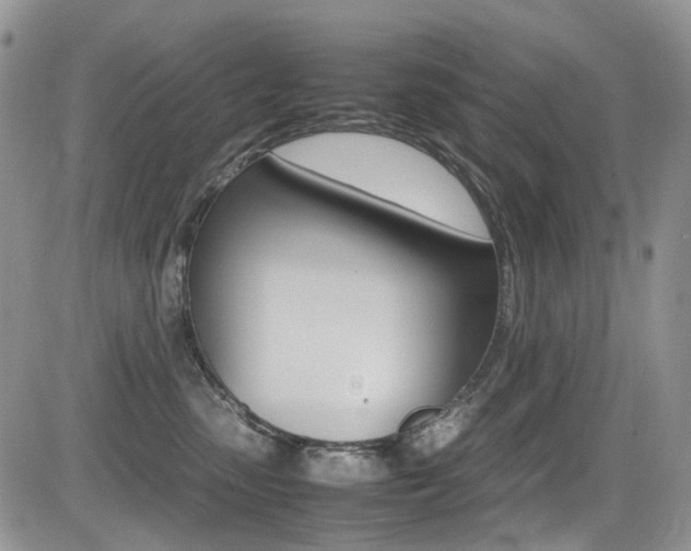 X0000085840475200703161100