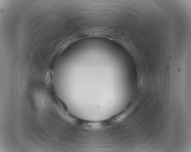 X0000085840478200703161100