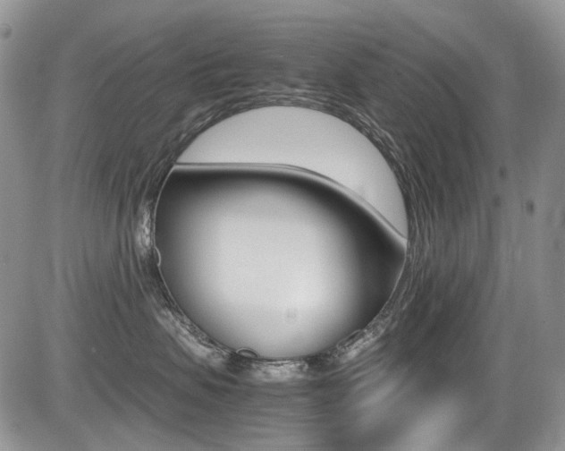 X0000085840479200703161100