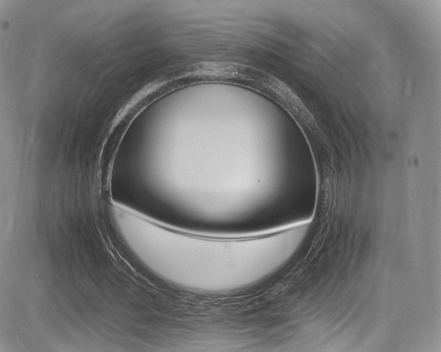 X0000085840484200703161100