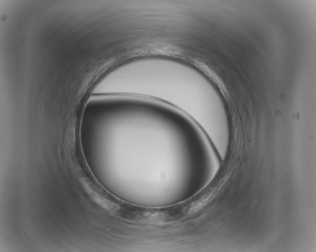 X0000085840493200703161059