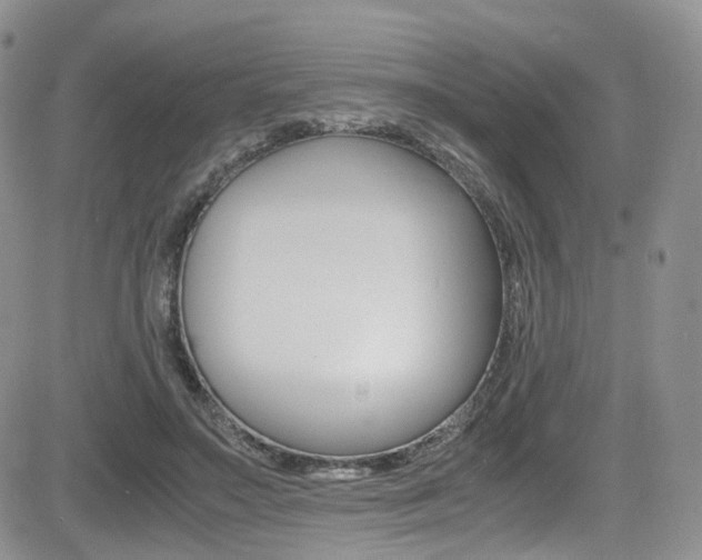 X0000085840499200703161059
