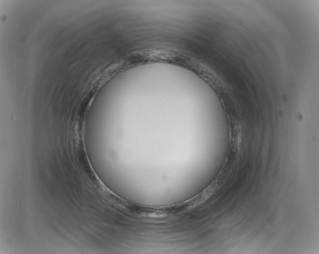 X0000085840506200703161059
