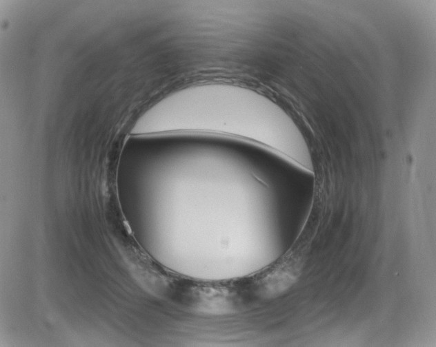 X0000085840512200703161059