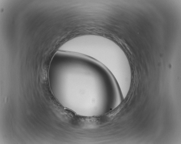 X0000085840517200703161059