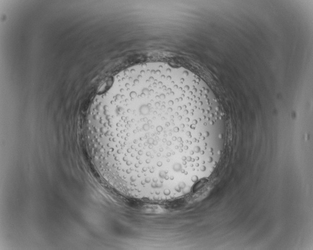 X0000085840519200703161059