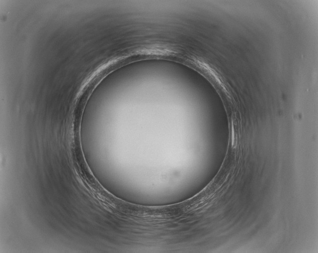 X0000085840531200703161058
