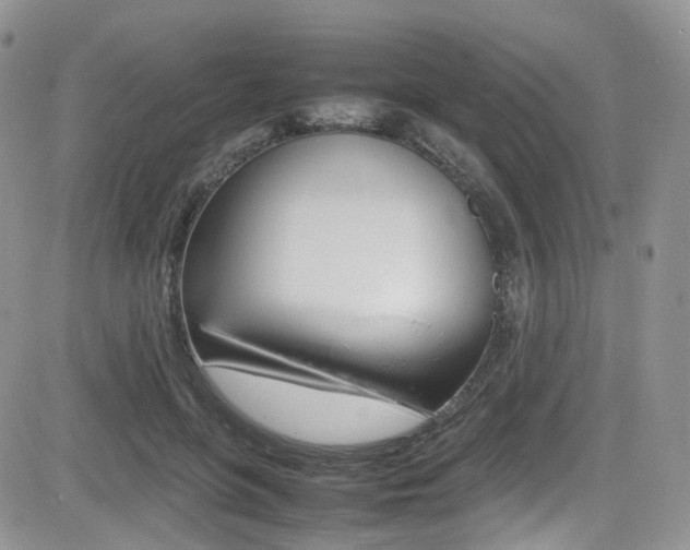 X0000085840551200703161058