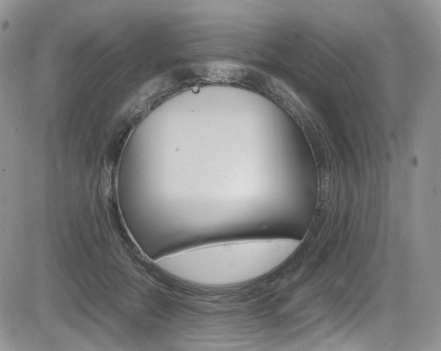 X0000085840554200703161058