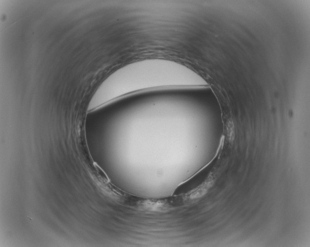 X0000085840570200703161059