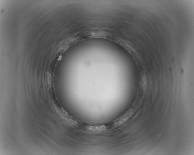 X0000085840571200703161059
