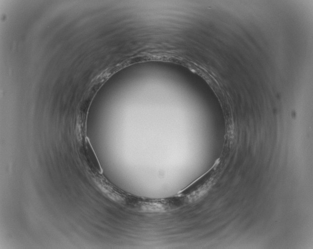 X0000085840572200703161059