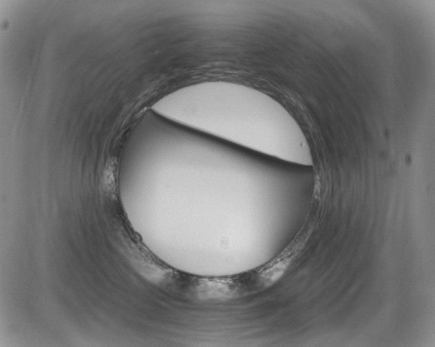 X0000085840573200703161059