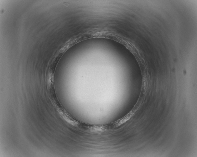 X0000085840574200703161059