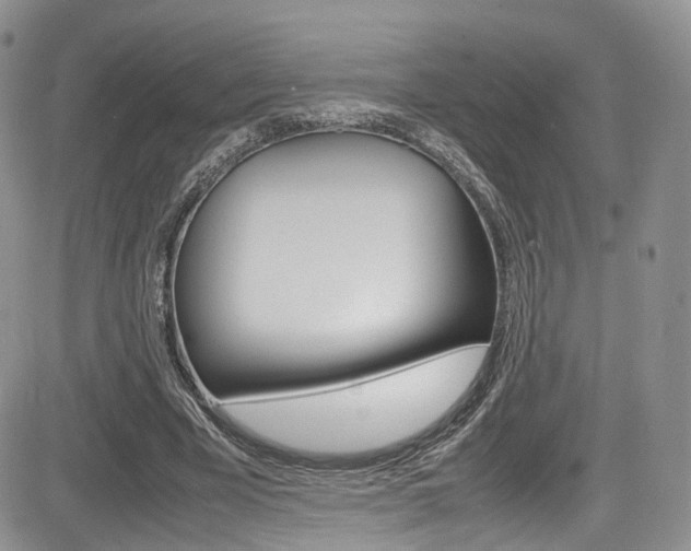 X0000085840585200703161058