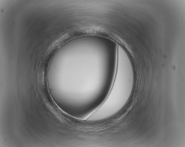 X0000085840589200703161058
