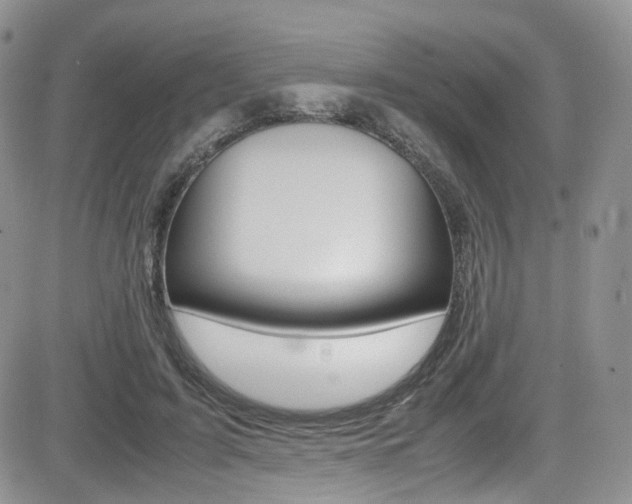 X0000085840595200703161058