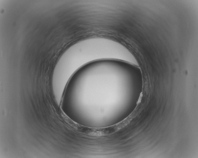 X0000085840604200703161058
