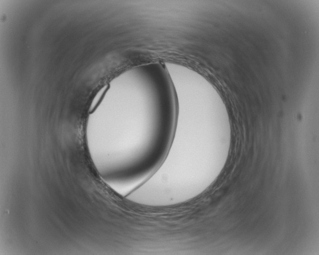 X0000085840613200703161057
