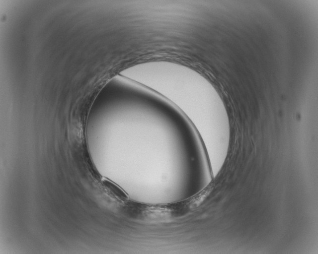 X0000085840617200703161057