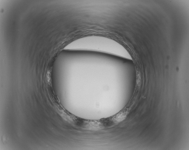 X0000085840621200703161057