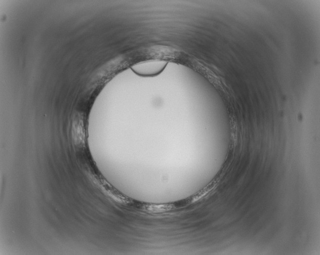 X0000085840622200703161057