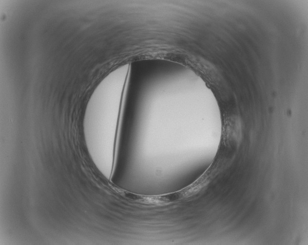 X0000085840623200703161057