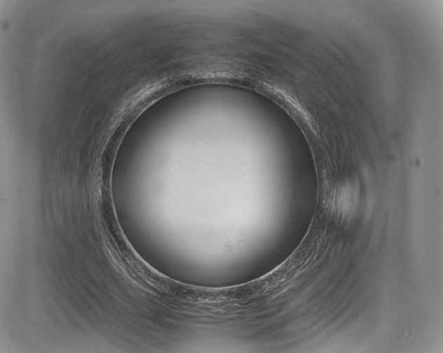 X0000085840631200703161056