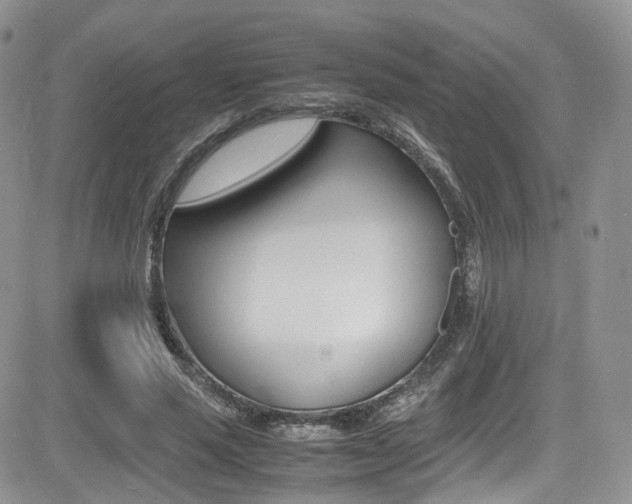 X0000085840637200703161057
