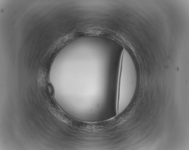 X0000085840641200703161057