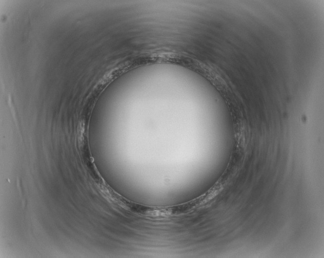 X0000085840660200703161057