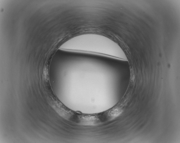 X0000085840669200703161057