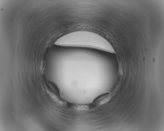 X0000085840670200703161057