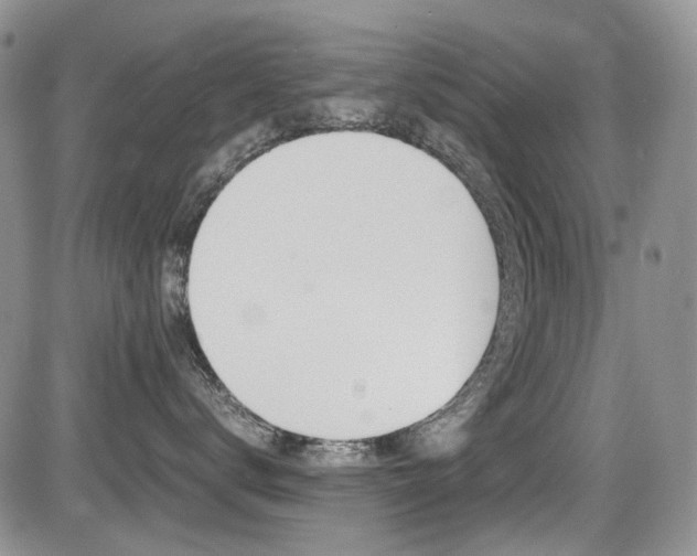 X0000085840672200703161057
