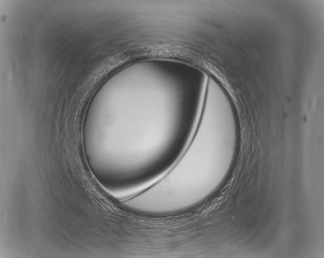 X0000085840673200703161056