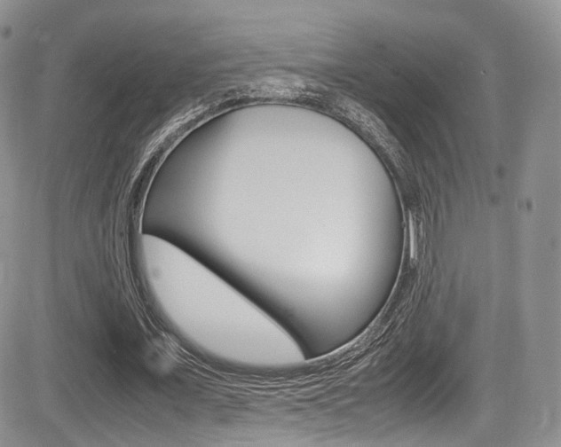 X0000085840675200703161056