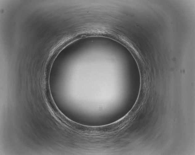 X0000085840677200703161056