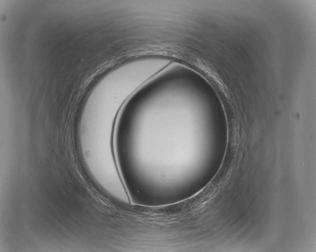 X0000085840681200703161056