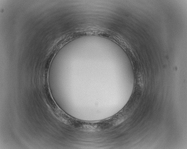 X0000085840690200703161056