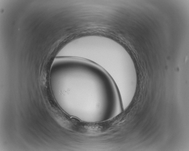 X0000085840693200703161056