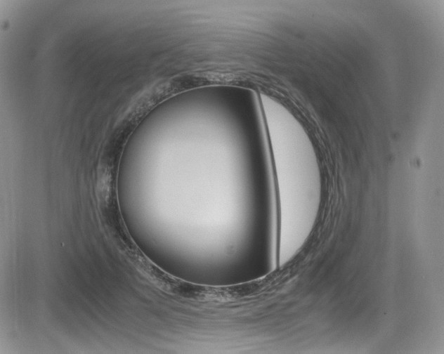 X0000085840697200703161056