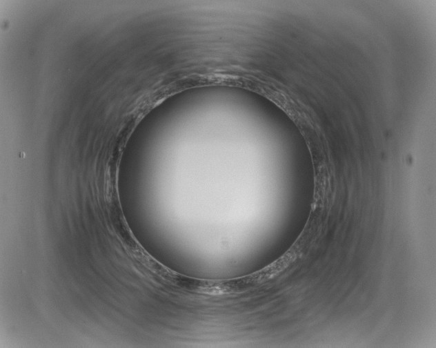 X0000085840704200703161056
