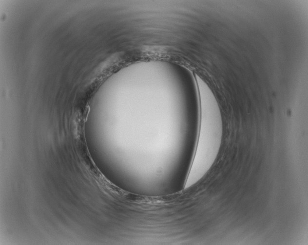 X0000085840712200703161056