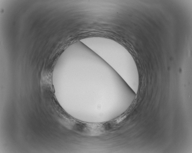 X0000085840713200703161056