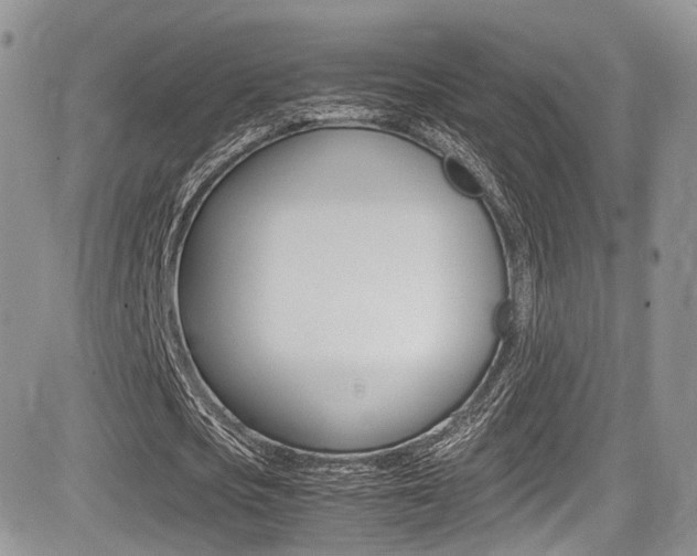 X0000085840721200703161055